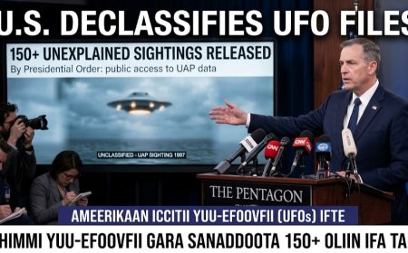 Ameerikaan Dhimma Yuufoo Irratti Waan Jette Qabdi